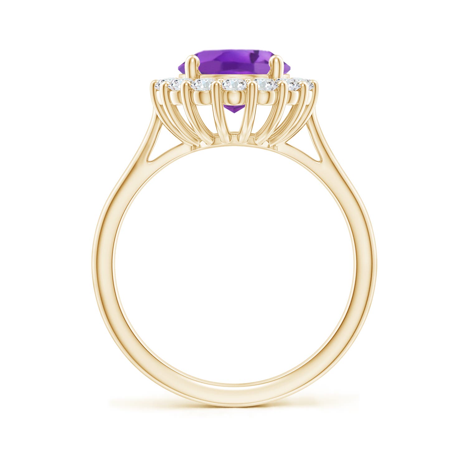 AA - Amethyst / 2.98 CT / 14 KT Yellow Gold