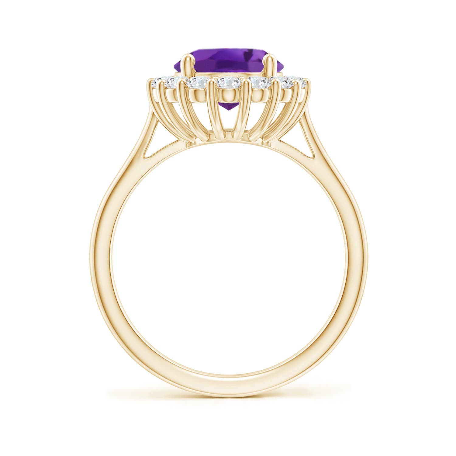 AAA - Amethyst / 2.98 CT / 14 KT Yellow Gold