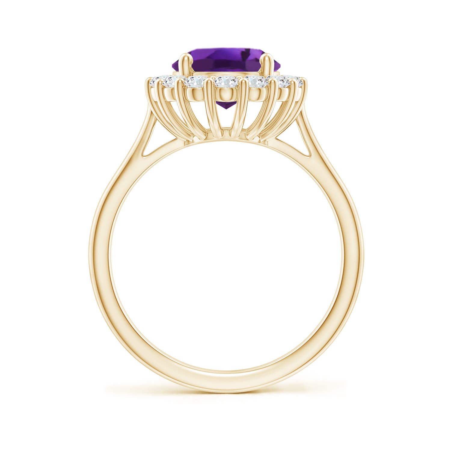 AAAA - Amethyst / 2.98 CT / 14 KT Yellow Gold