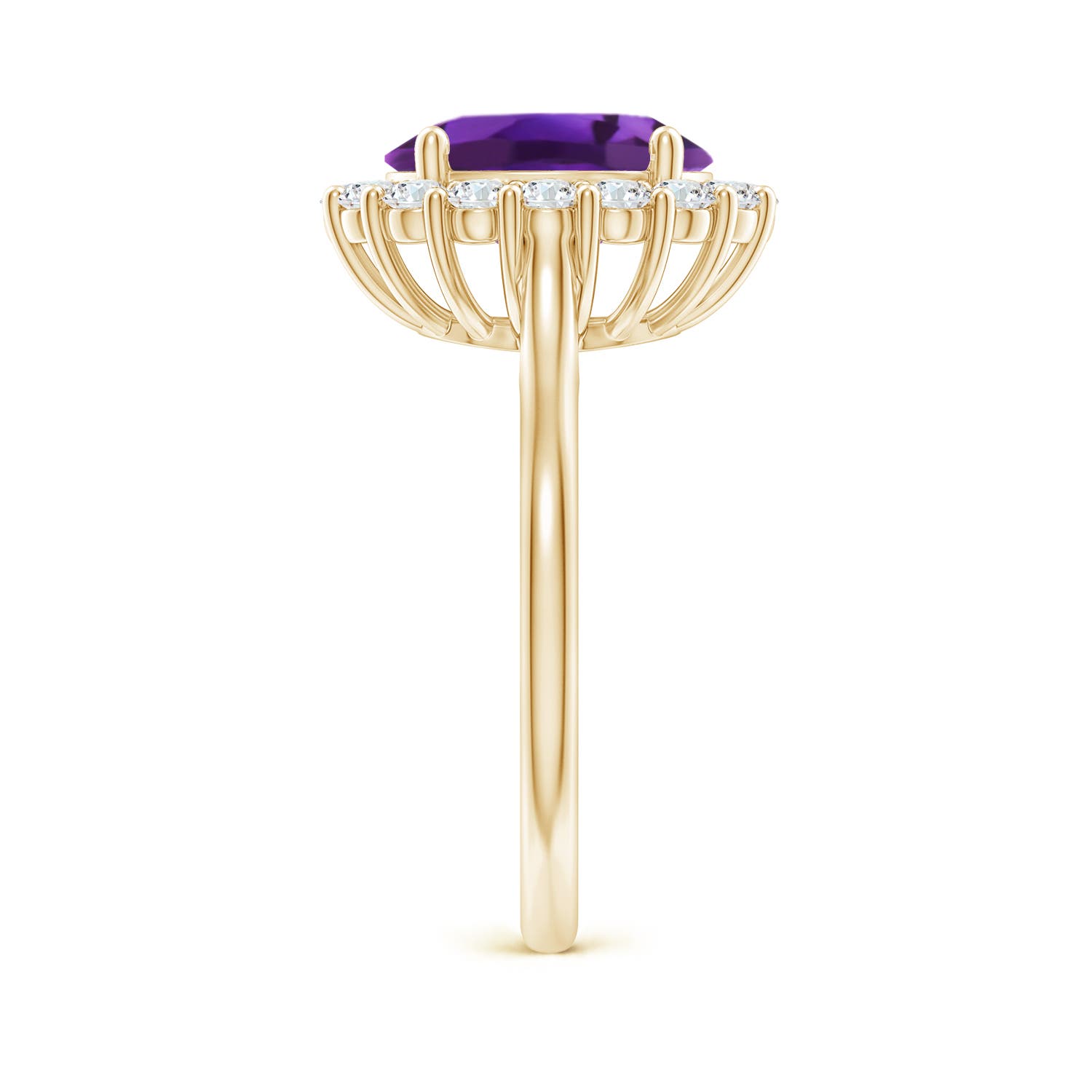 AAAA - Amethyst / 2.98 CT / 14 KT Yellow Gold