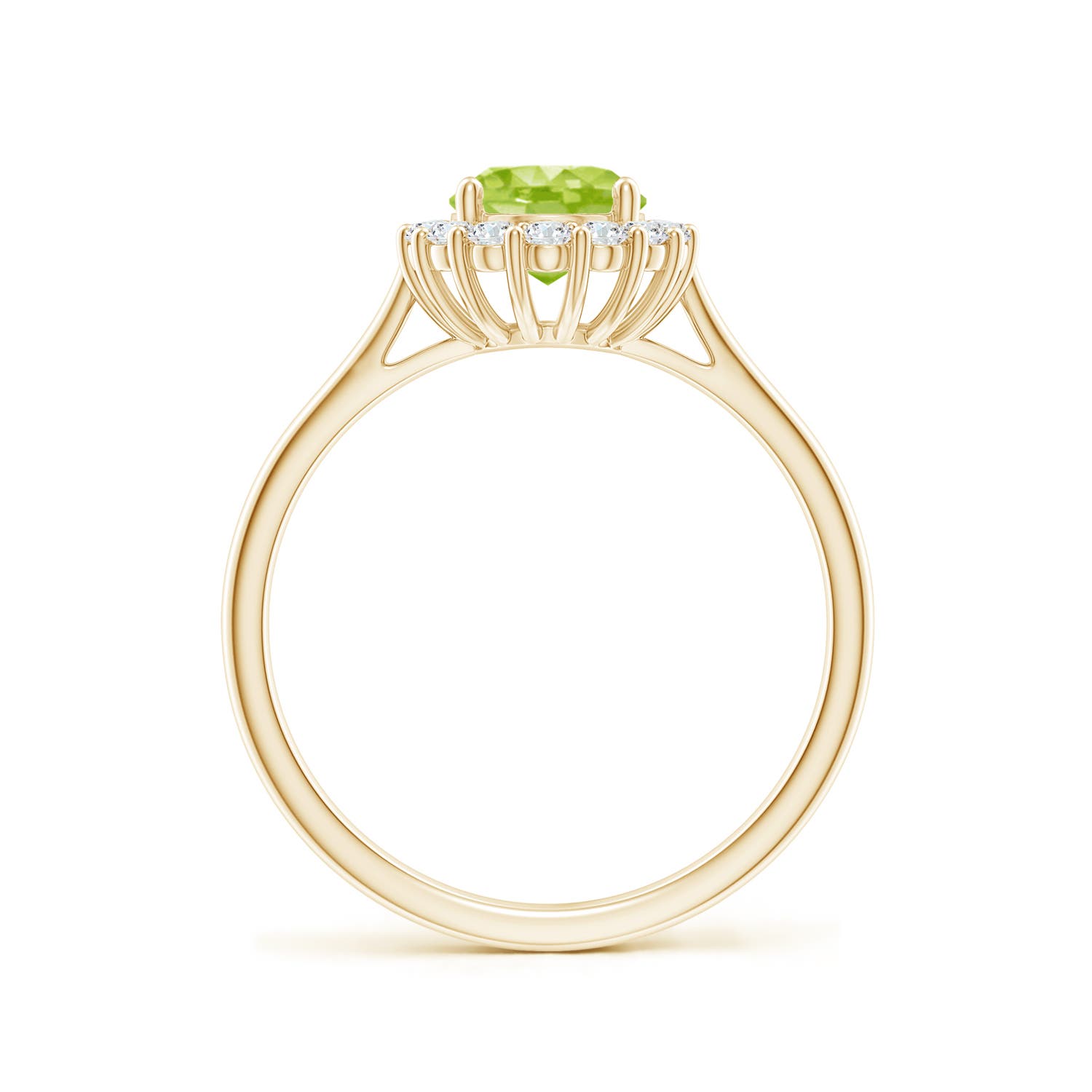 AA - Peridot / 1.64 CT / 14 KT Yellow Gold