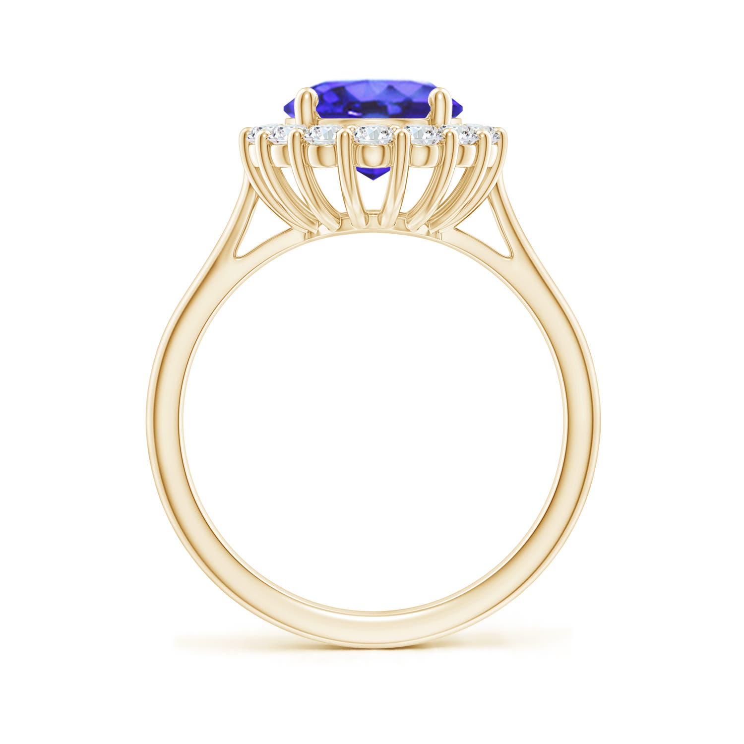 AA - Tanzanite / 3.46 CT / 14 KT Yellow Gold