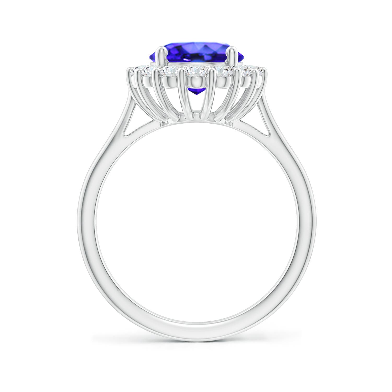 AAA - Tanzanite / 3.46 CT / 14 KT White Gold