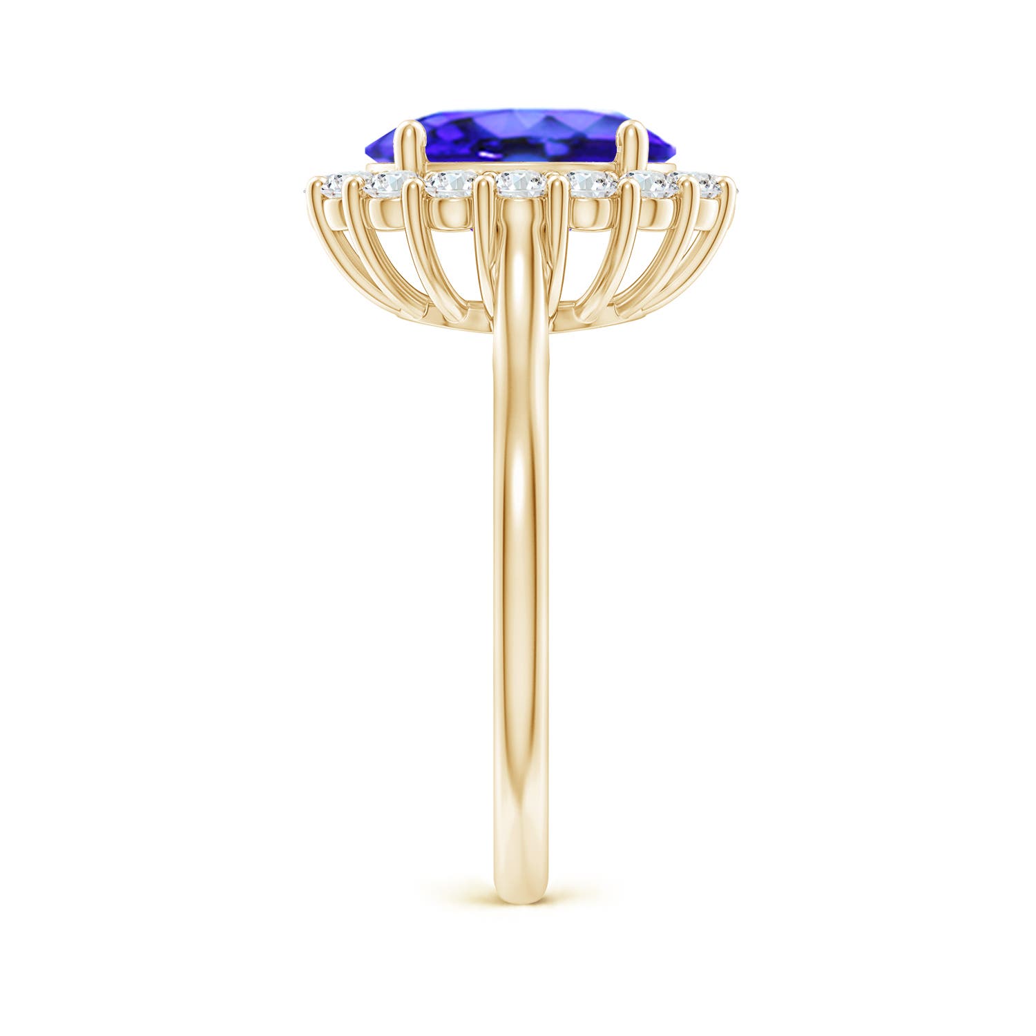 AAA - Tanzanite / 3.46 CT / 14 KT Yellow Gold