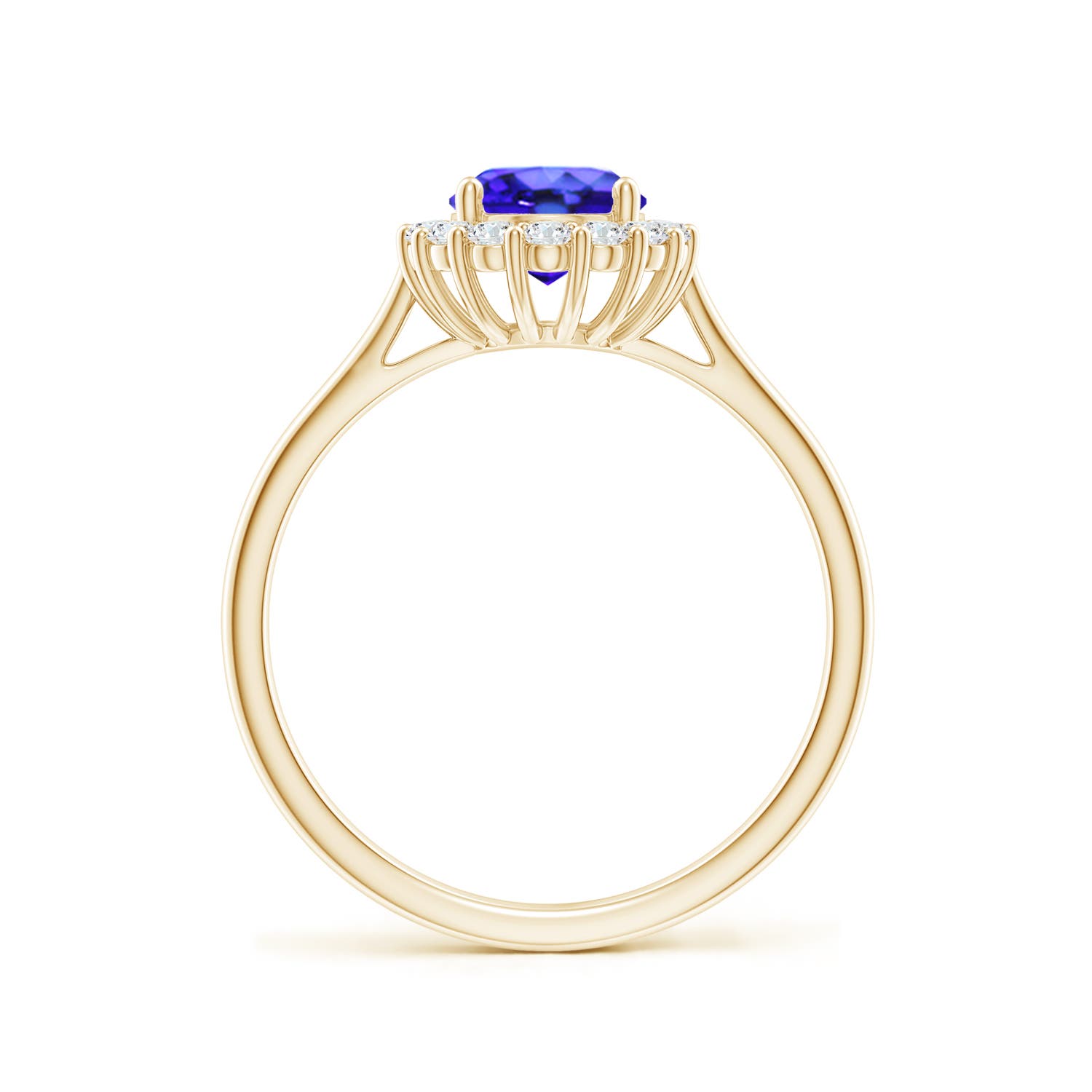 AAA - Tanzanite / 1.54 CT / 14 KT Yellow Gold