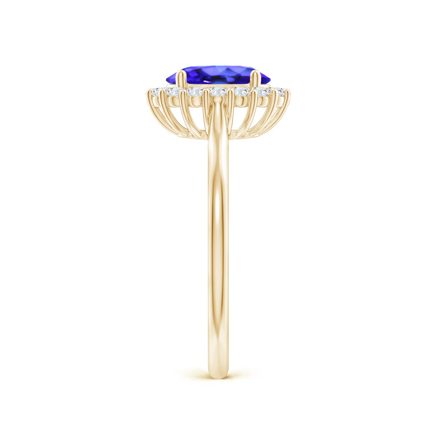 AAA - Tanzanite / 1.54 CT / 14 KT Yellow Gold