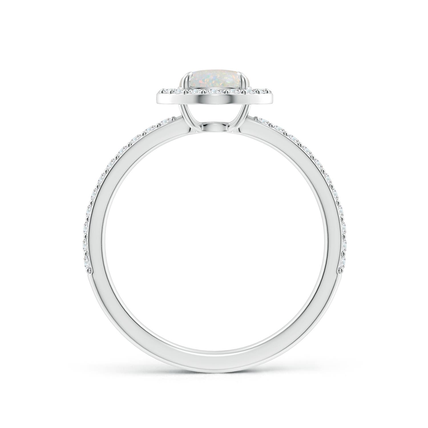 AA - Opal / 0.79 CT / 14 KT White Gold