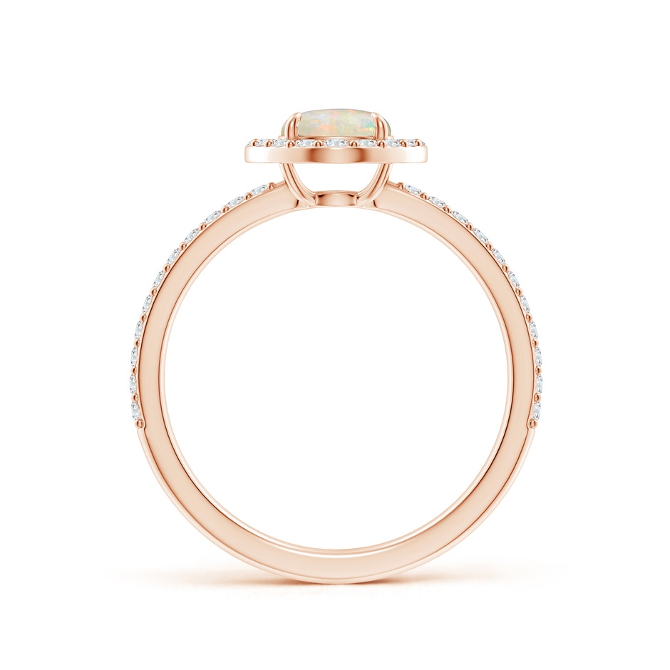 6mm AAAA Vintage Style Claw-Set Round Opal Halo Ring in Rose Gold side-1