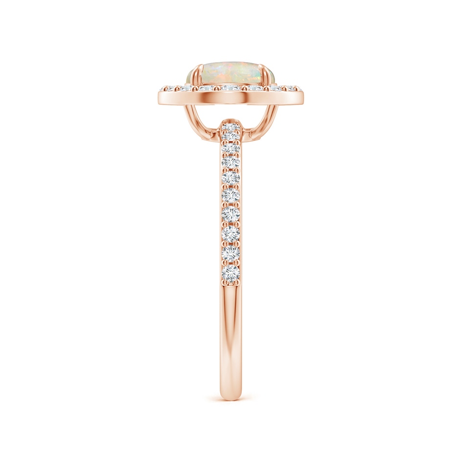 7mm AAAA Vintage Style Claw-Set Round Opal Halo Ring in Rose Gold side-2