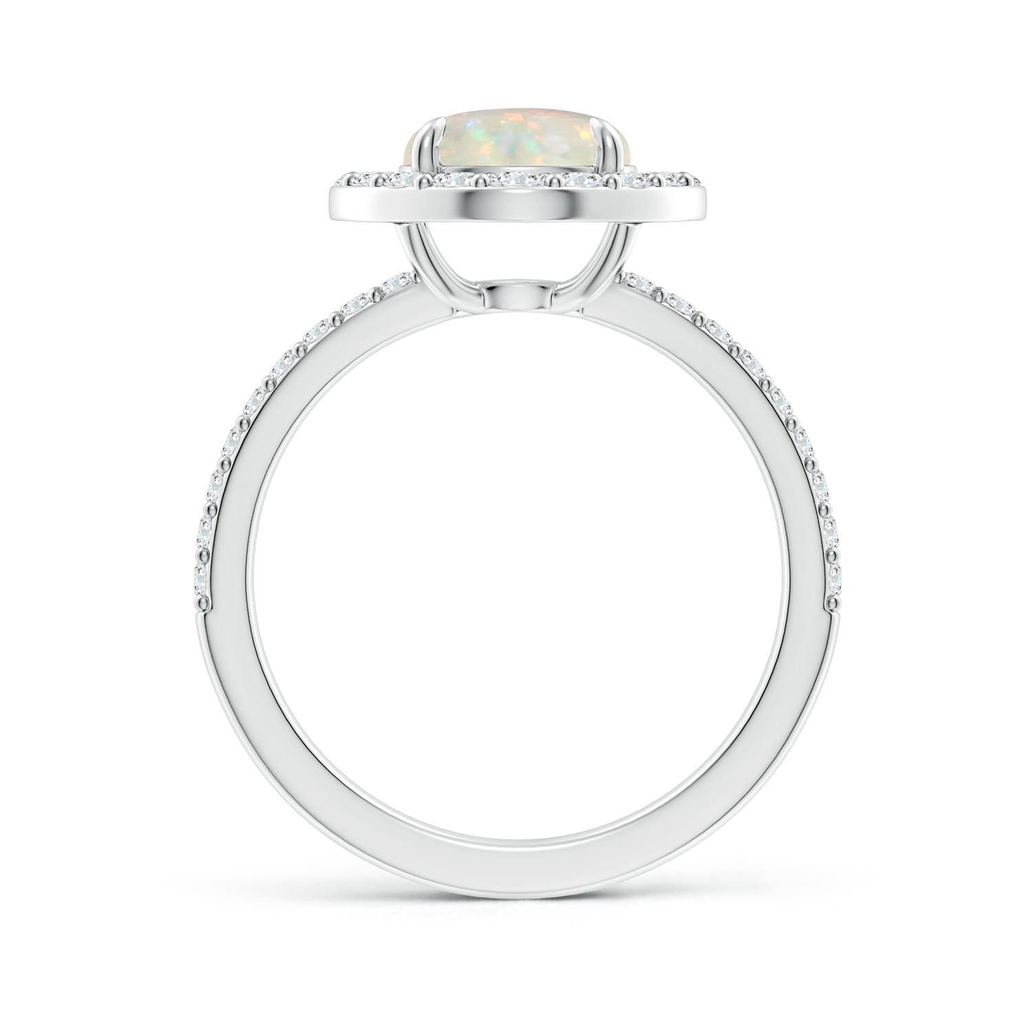 AAA - Opal / 1.67 CT / 14 KT White Gold