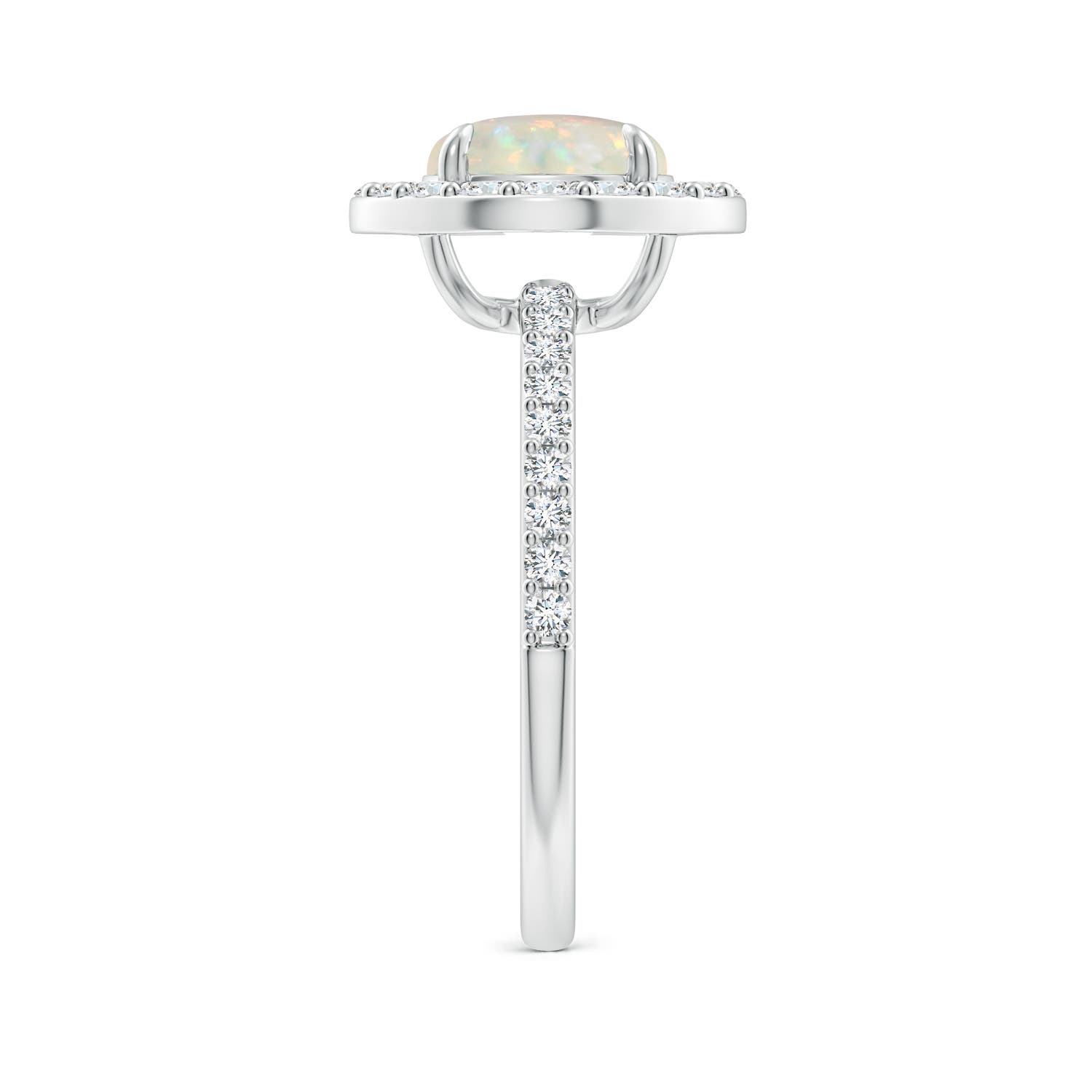 AAA - Opal / 1.67 CT / 14 KT White Gold