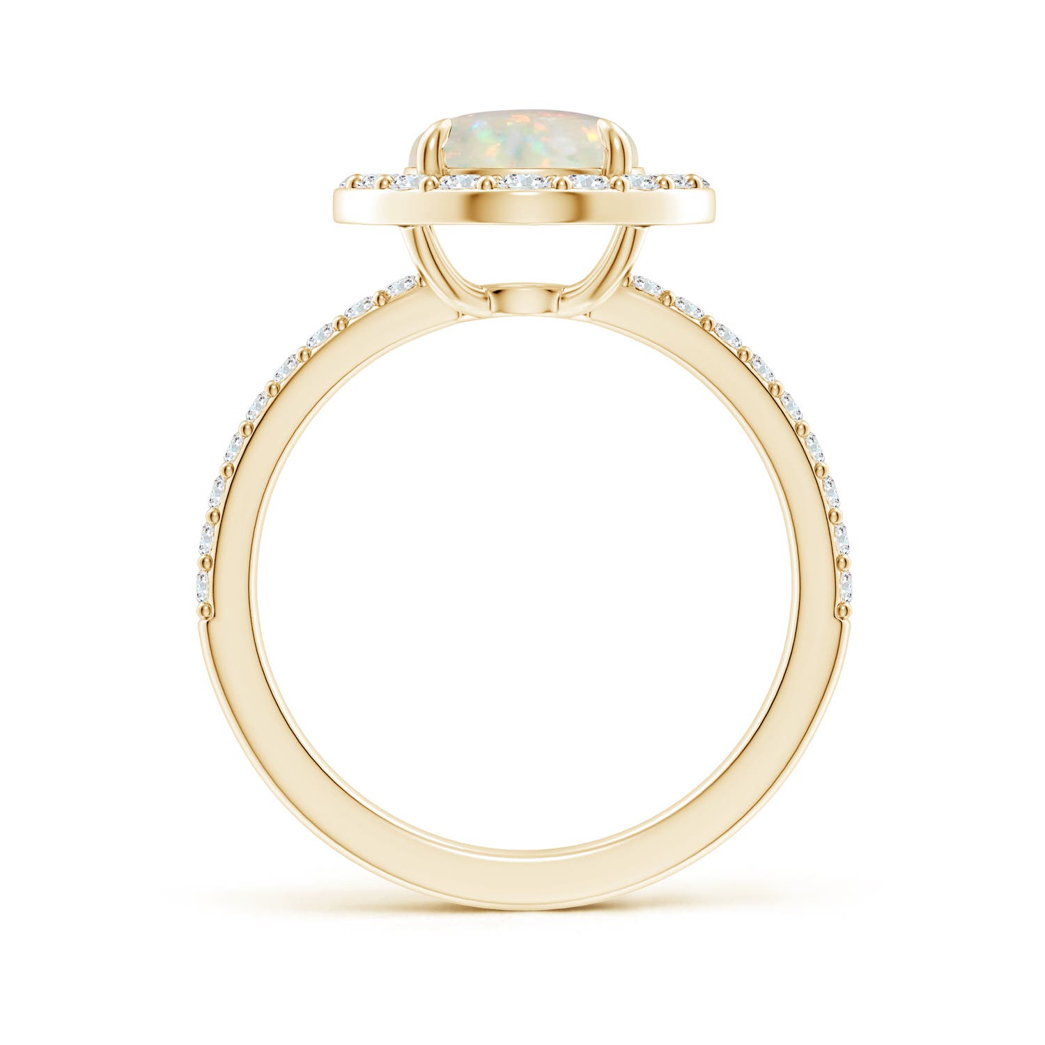 AAA - Opal / 1.67 CT / 14 KT Yellow Gold