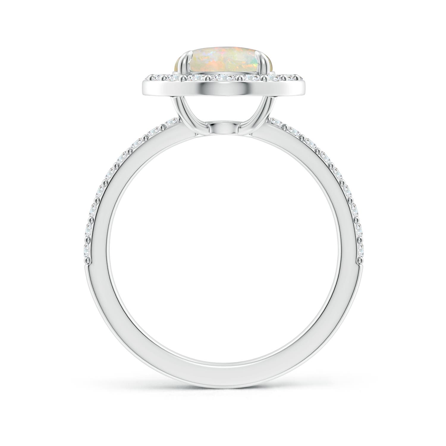 AAAA - Opal / 1.67 CT / 14 KT White Gold