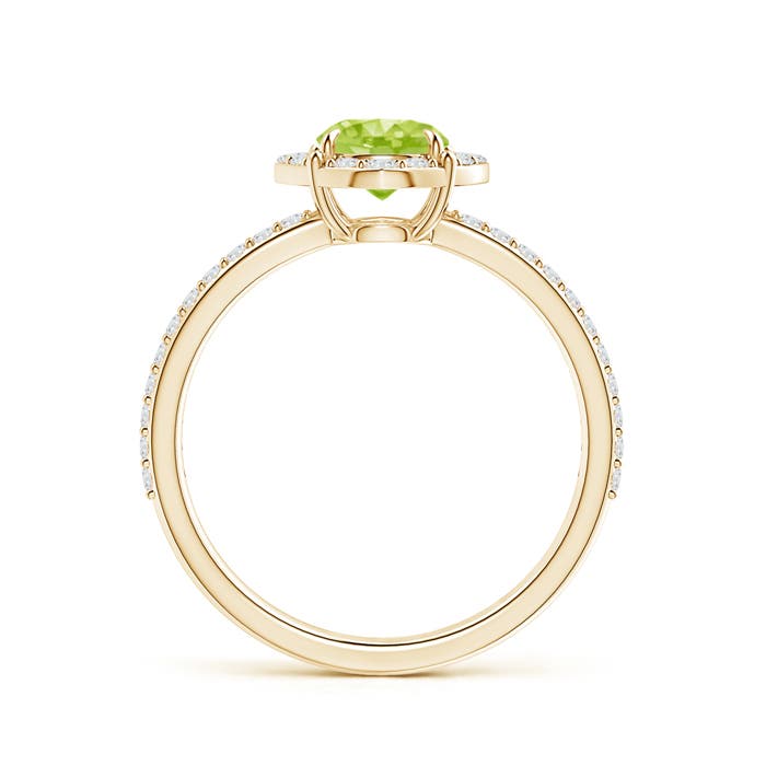 AA - Peridot / 1.24 CT / 14 KT Yellow Gold