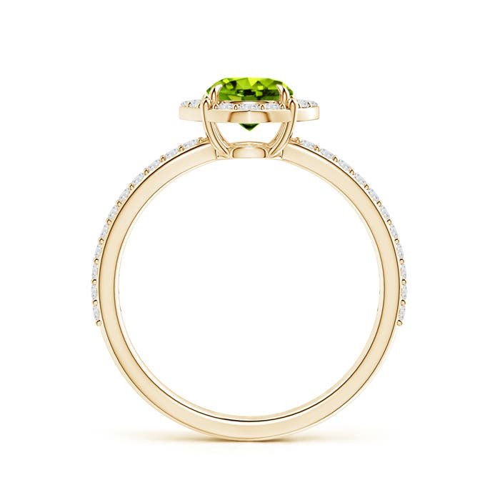 AAAA - Peridot / 1.24 CT / 14 KT Yellow Gold