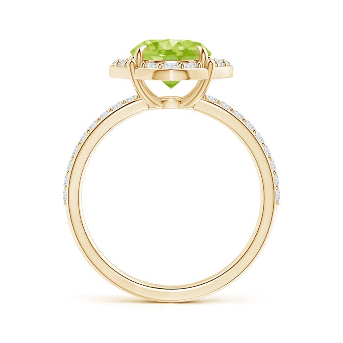 AA - Peridot / 2.52 CT / 14 KT Yellow Gold