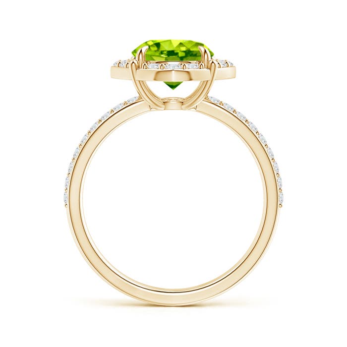 AAA - Peridot / 2.52 CT / 14 KT Yellow Gold