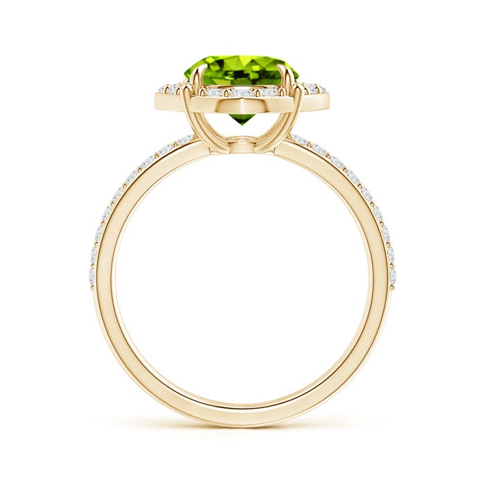 AAAA - Peridot / 2.52 CT / 14 KT Yellow Gold