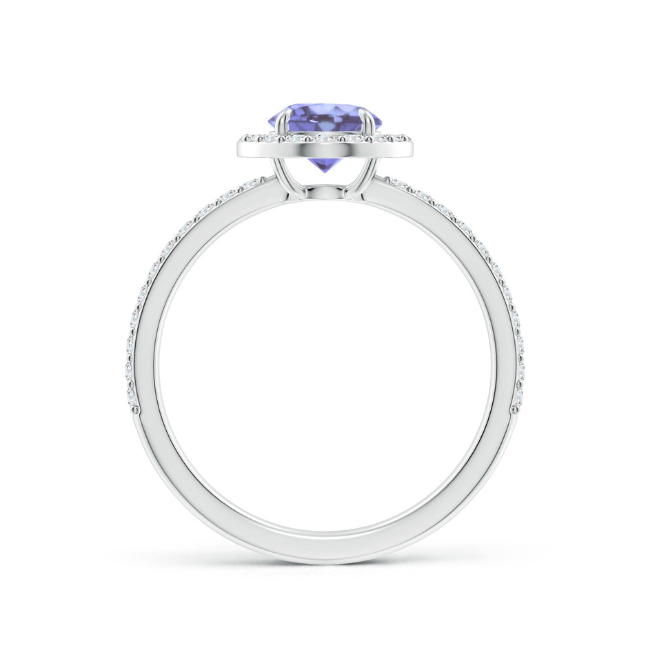 6mm A Vintage Style Claw-Set Round Tanzanite Halo Ring in P950 Platinum side 199