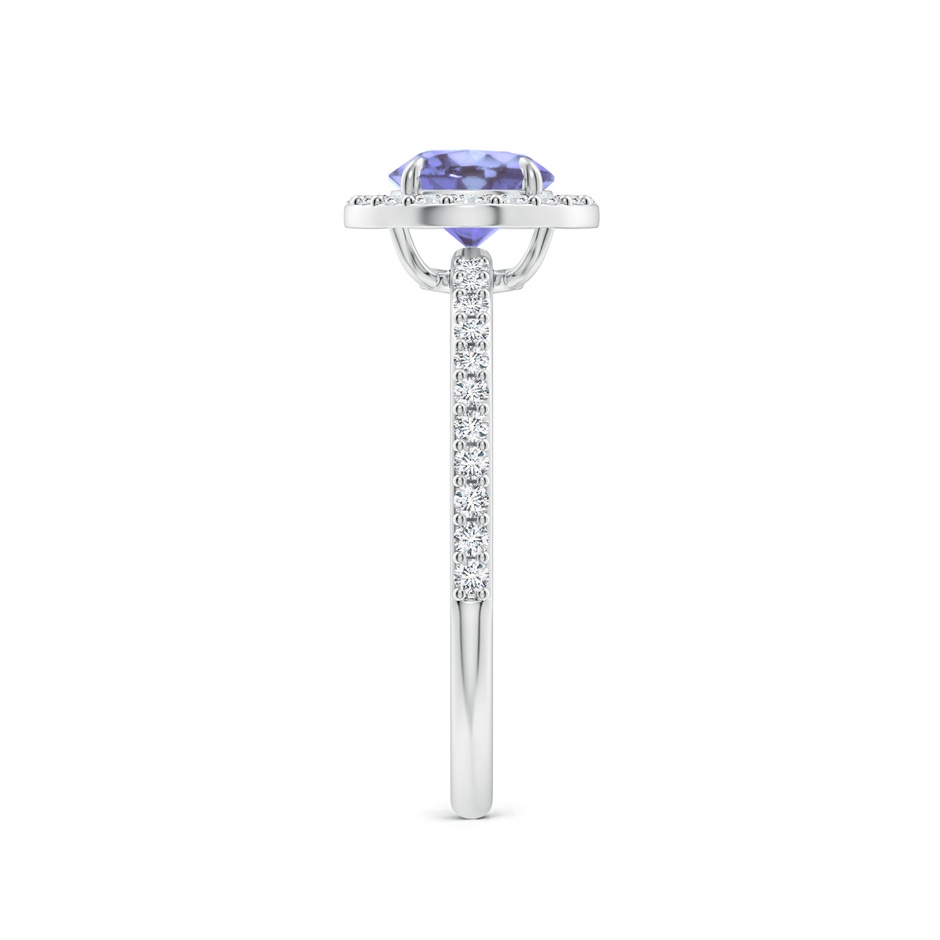 6mm A Vintage Style Claw-Set Round Tanzanite Halo Ring in P950 Platinum side 299