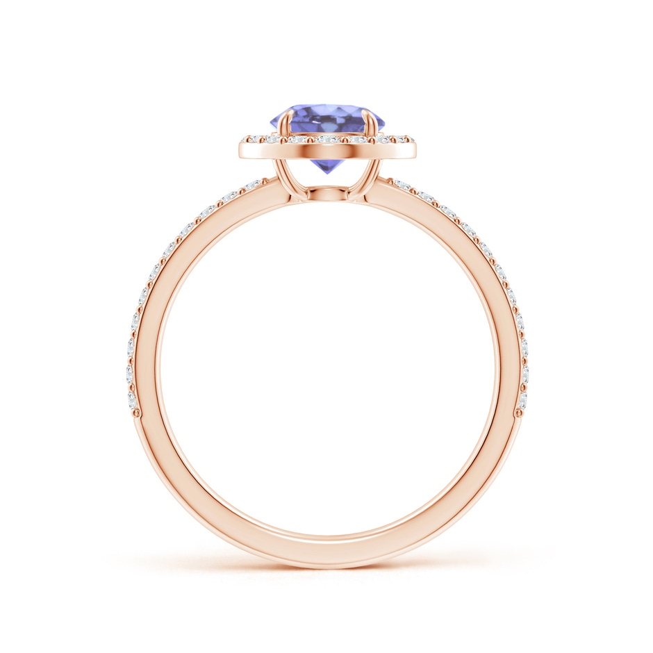 6mm A Vintage Style Claw-Set Round Tanzanite Halo Ring in Rose Gold side 199
