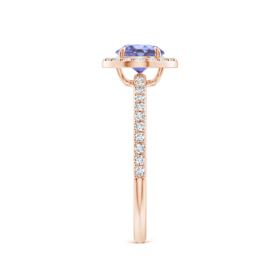 6mm A Vintage Style Claw-Set Round Tanzanite Halo Ring in Rose Gold side 299