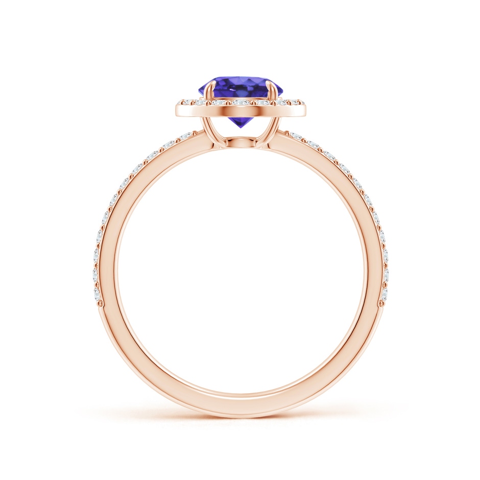 6mm AA Vintage Style Claw-Set Round Tanzanite Halo Ring in Rose Gold side 199
