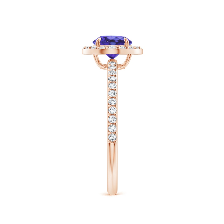 6mm AA Vintage Style Claw-Set Round Tanzanite Halo Ring in Rose Gold side 299
