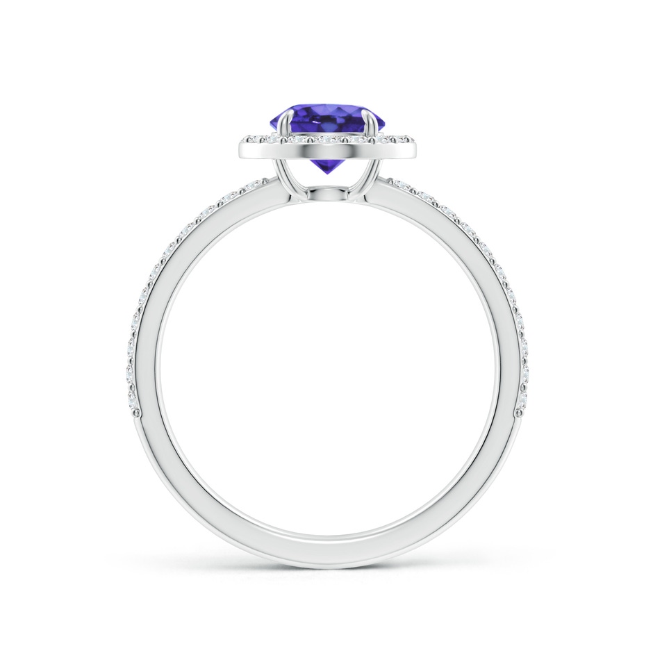 6mm AA Vintage Style Claw-Set Round Tanzanite Halo Ring in White Gold side 199