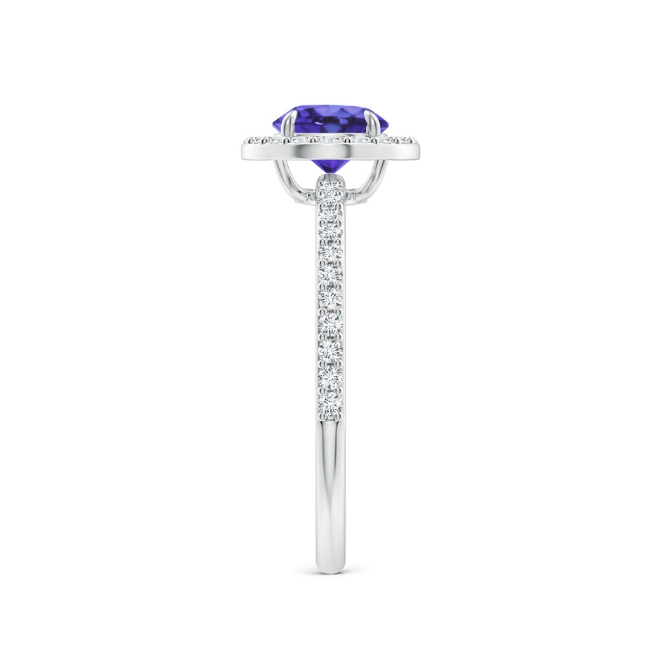 6mm AA Vintage Style Claw-Set Round Tanzanite Halo Ring in White Gold side 299