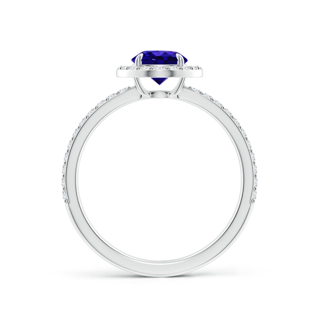 6mm AAAA Vintage Style Claw-Set Round Tanzanite Halo Ring in P950 Platinum - side 199