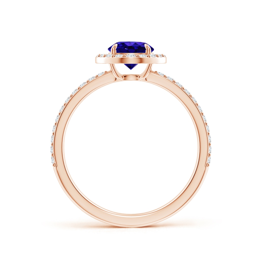 6mm AAAA Vintage Style Claw-Set Round Tanzanite Halo Ring in Rose Gold - side 199