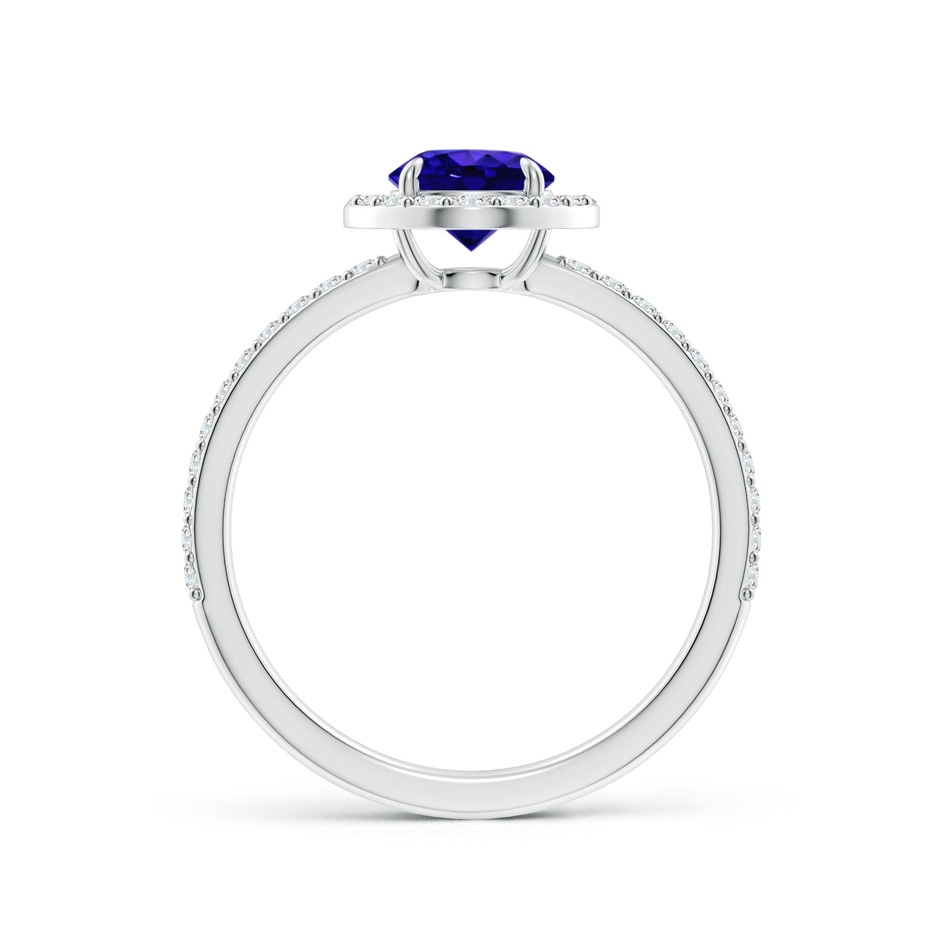 6mm AAAA Vintage Style Claw-Set Round Tanzanite Halo Ring in White Gold side 199