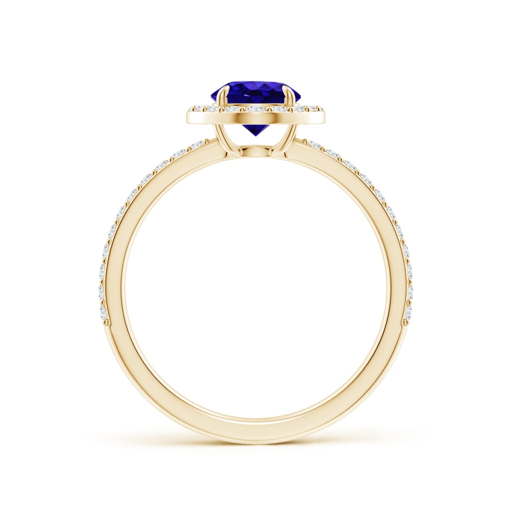 6mm AAAA Vintage Style Claw-Set Round Tanzanite Halo Ring in Yellow Gold - side 199