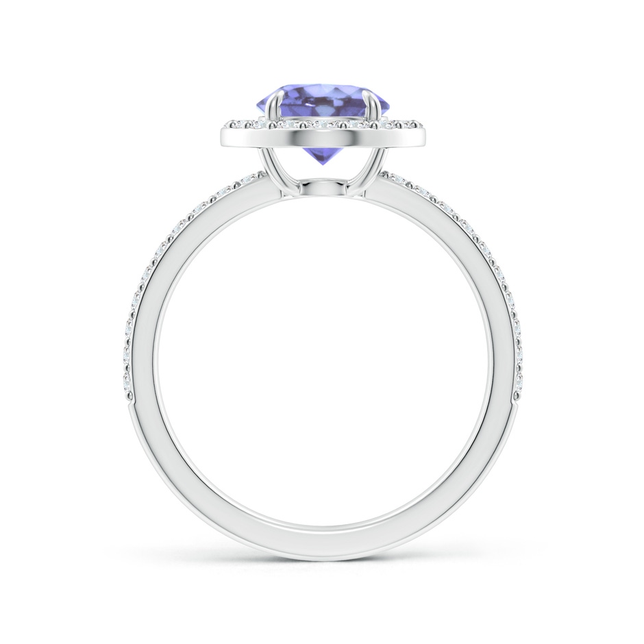 7mm A Vintage Style Claw-Set Round Tanzanite Halo Ring in P950 Platinum side 199