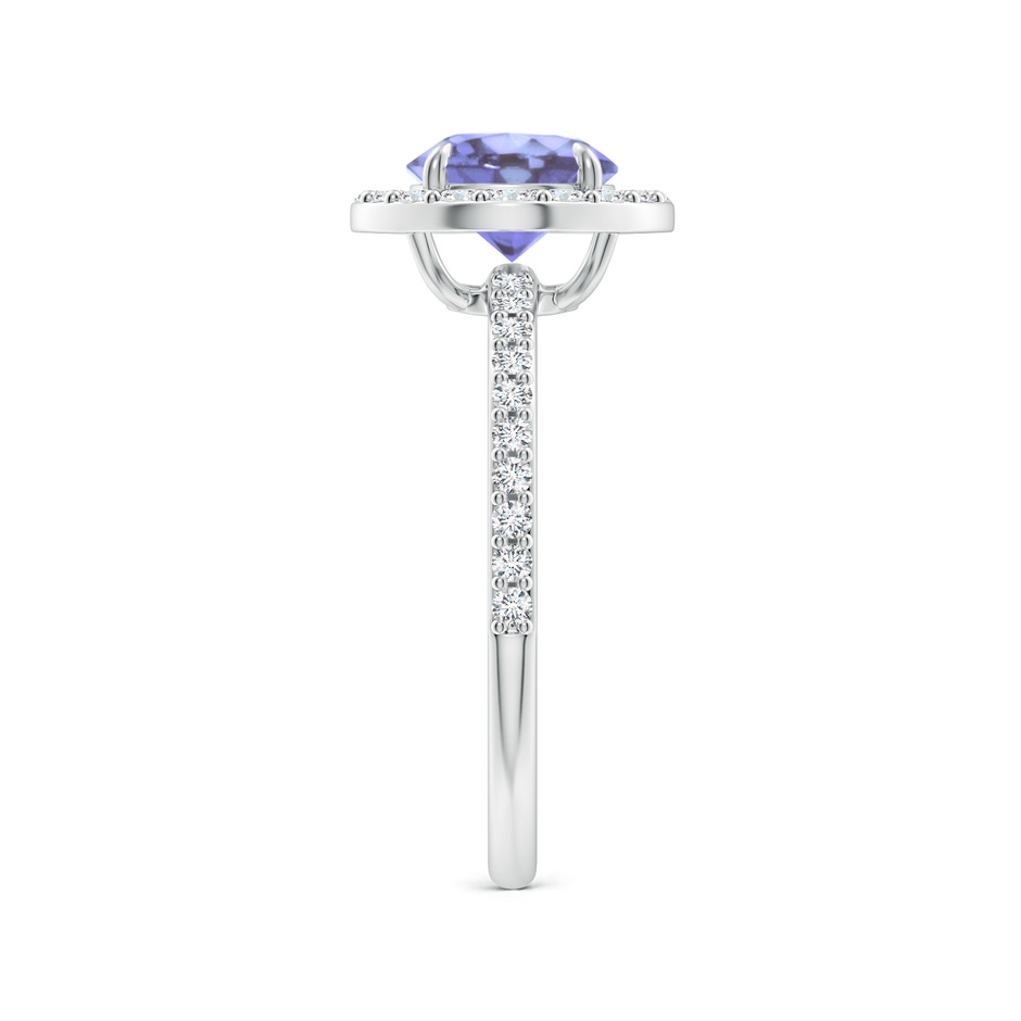 7mm A Vintage Style Claw-Set Round Tanzanite Halo Ring in P950 Platinum side 299