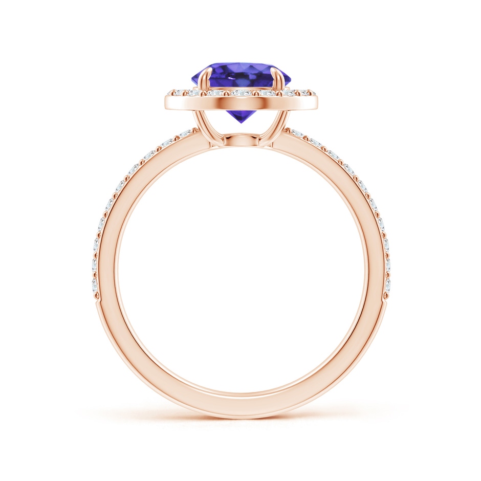 7mm AA Vintage Style Claw-Set Round Tanzanite Halo Ring in Rose Gold side 199