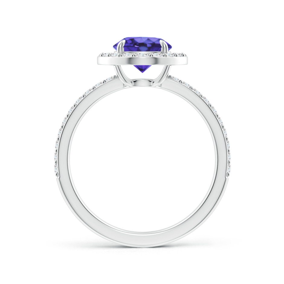 7mm AA Vintage Style Claw-Set Round Tanzanite Halo Ring in White Gold side 199