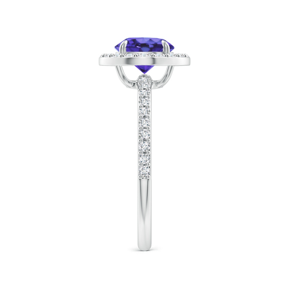 7mm AA Vintage Style Claw-Set Round Tanzanite Halo Ring in White Gold side 299