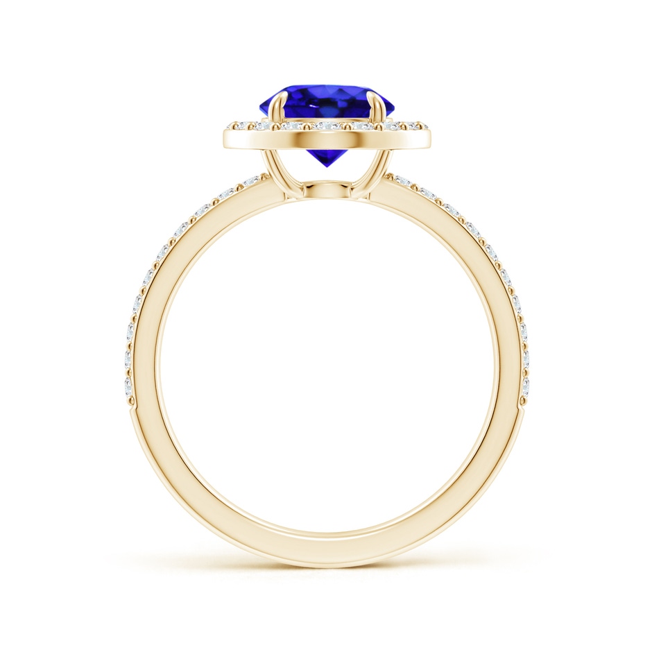 7mm AAA Vintage Style Claw-Set Round Tanzanite Halo Ring in Yellow Gold side 199
