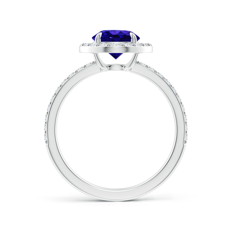 7mm AAAA Vintage Style Claw-Set Round Tanzanite Halo Ring in P950 Platinum side 199