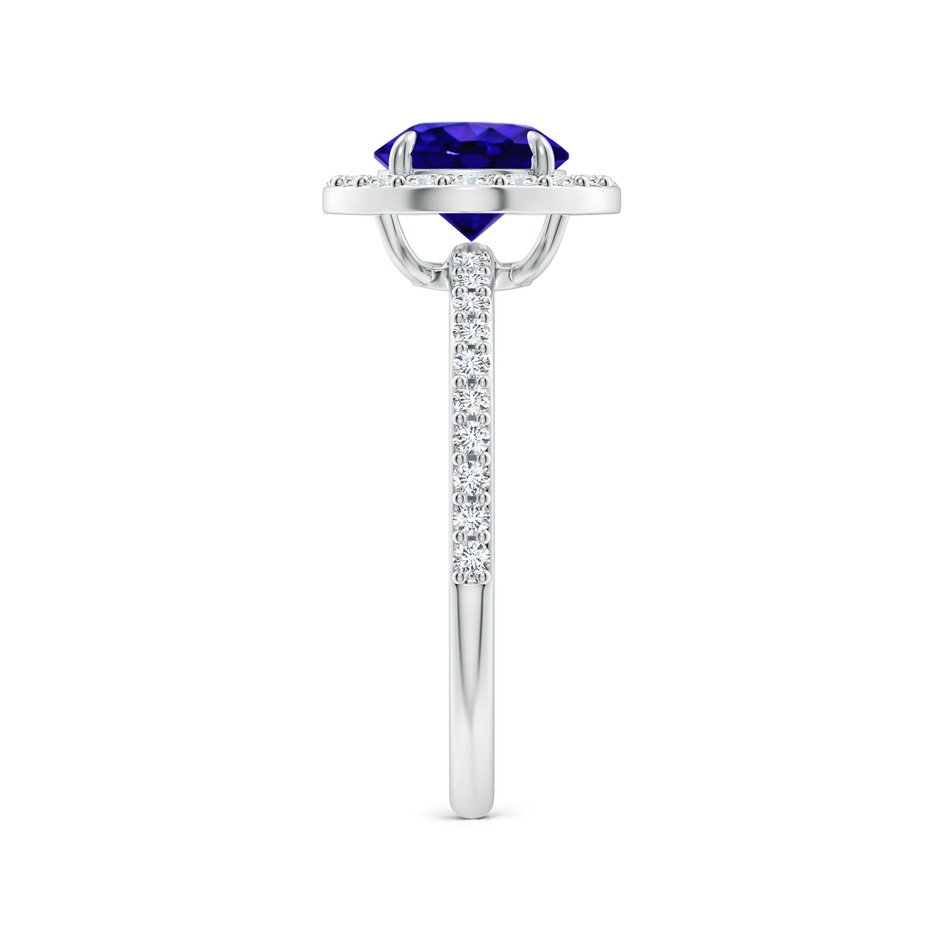 7mm AAAA Vintage Style Claw-Set Round Tanzanite Halo Ring in P950 Platinum side 299