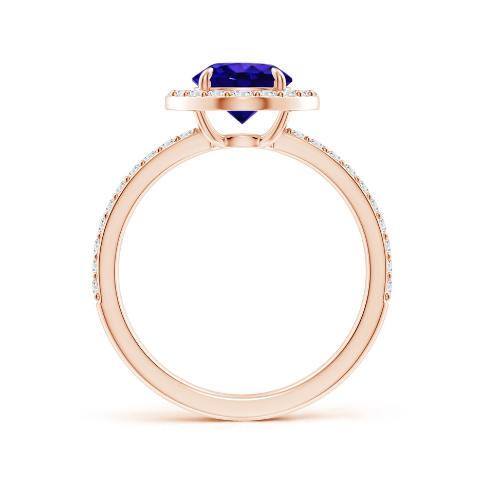 7mm AAAA Vintage Style Claw-Set Round Tanzanite Halo Ring in Rose Gold side 199