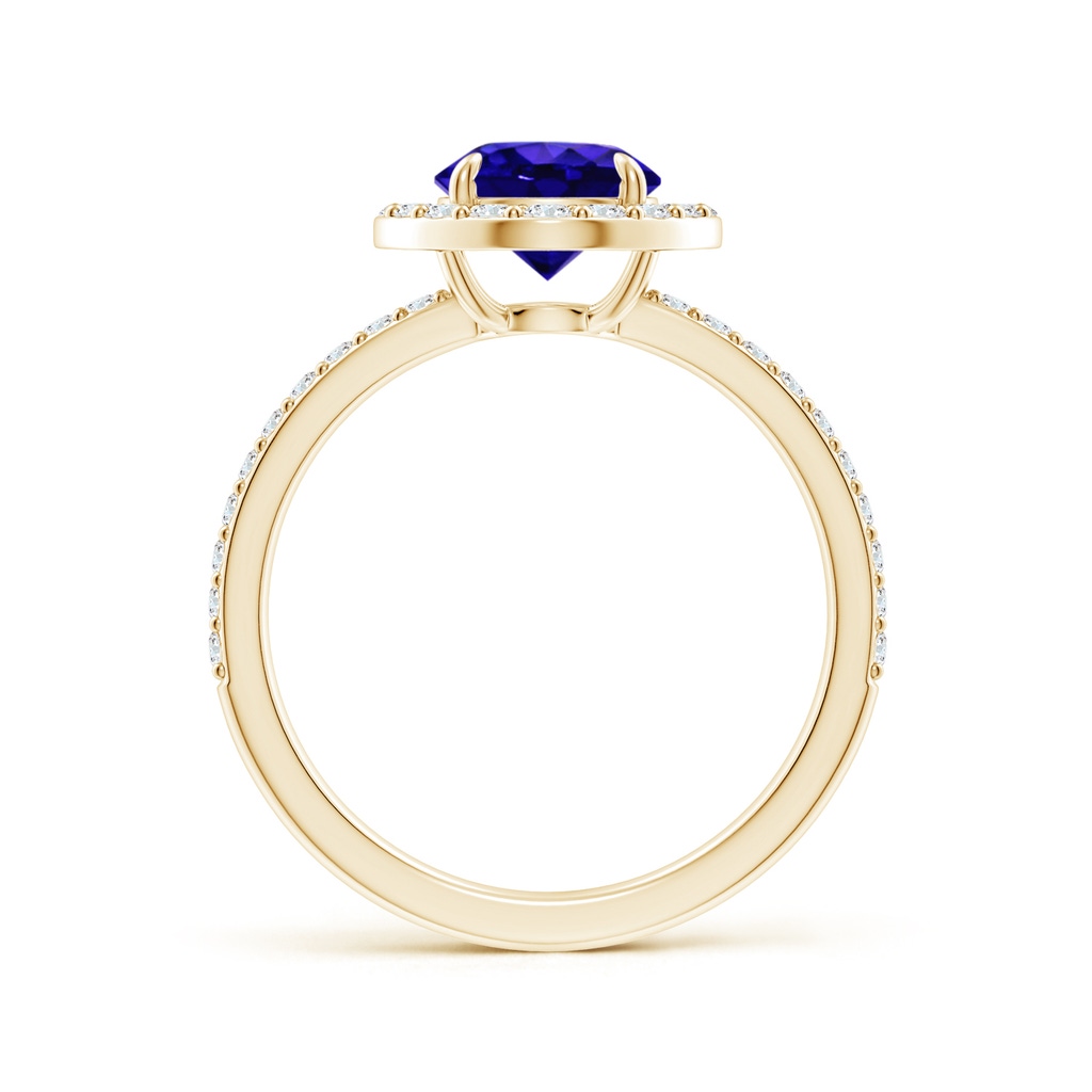 7mm AAAA Vintage Style Claw-Set Round Tanzanite Halo Ring in Yellow Gold Side-1