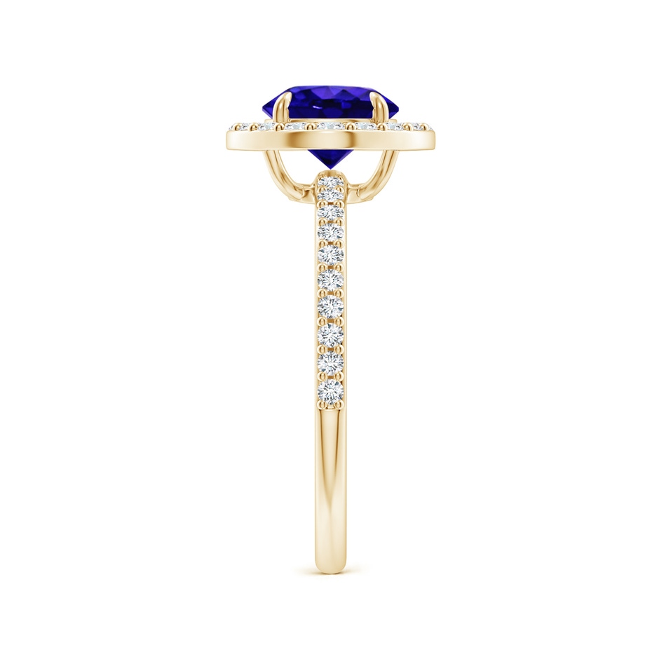 7mm AAAA Vintage Style Claw-Set Round Tanzanite Halo Ring in Yellow Gold side 299