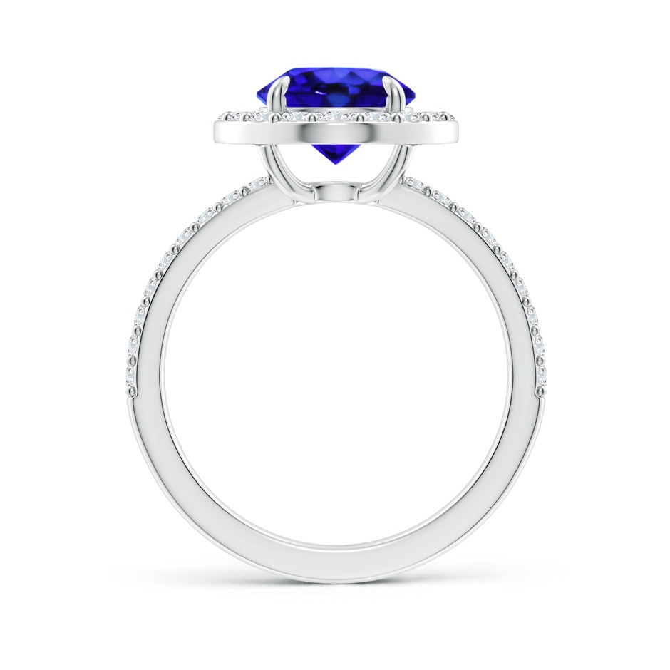 8mm AAA Vintage Style Claw-Set Round Tanzanite Halo Ring in White Gold side 199