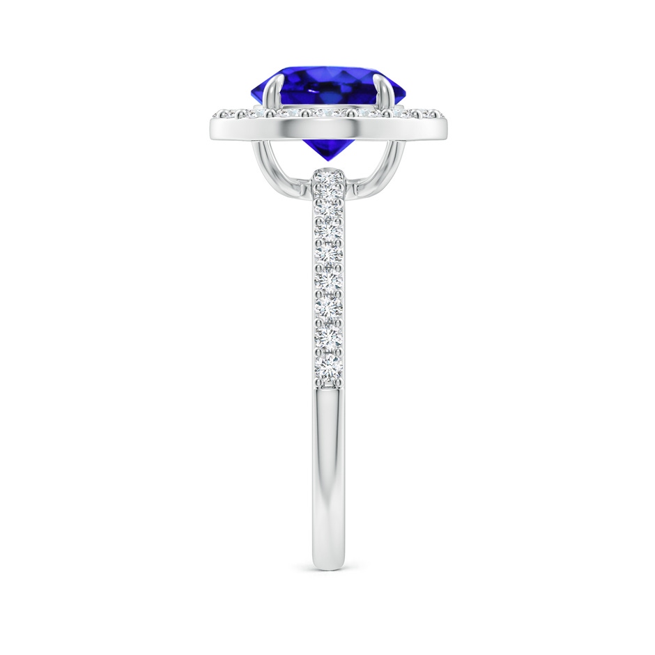 8mm AAA Vintage Style Claw-Set Round Tanzanite Halo Ring in White Gold side 299