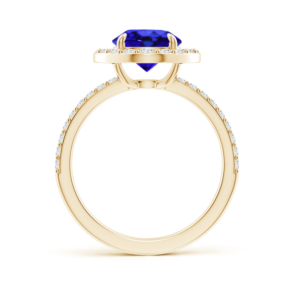 8mm AAA Vintage Style Claw-Set Round Tanzanite Halo Ring in Yellow Gold side 199
