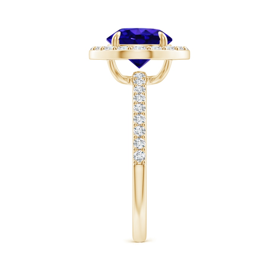 8mm AAAA Vintage Style Claw-Set Round Tanzanite Halo Ring in 18K Yellow Gold side 299