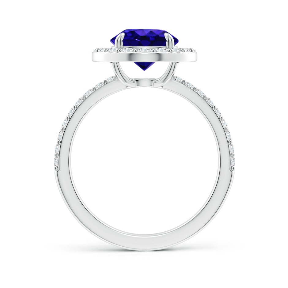 8mm AAAA Vintage Style Claw-Set Round Tanzanite Halo Ring in P950 Platinum side 199